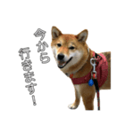 ももちゃんと。（個別スタンプ：2）