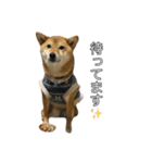 ももちゃんと。（個別スタンプ：3）