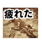 リアル恐竜ミーム2（個別スタンプ：21）