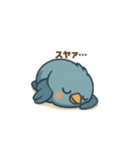 幸せのアオイトリ「とりこっぴ」（個別スタンプ：13）