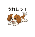 キャバリア きなこの日常（個別スタンプ：2）