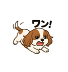 キャバリア きなこの日常（個別スタンプ：3）