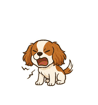 キャバリア きなこの日常（個別スタンプ：5）