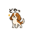 キャバリア きなこの日常（個別スタンプ：8）