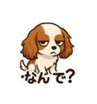 キャバリア きなこの日常（個別スタンプ：10）