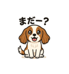 キャバリア きなこの日常（個別スタンプ：13）