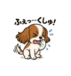 キャバリア きなこの日常（個別スタンプ：16）