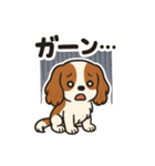 キャバリア きなこの日常（個別スタンプ：18）