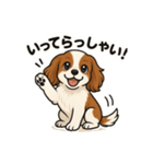 キャバリア きなこの日常（個別スタンプ：19）