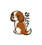 キャバリア きなこの日常（個別スタンプ：23）