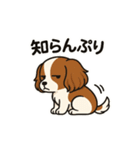 キャバリア きなこの日常（個別スタンプ：24）