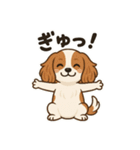 キャバリア きなこの日常（個別スタンプ：26）