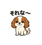 キャバリア きなこの日常（個別スタンプ：29）