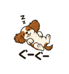 キャバリア きなこの日常（個別スタンプ：33）