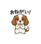 キャバリア きなこの日常（個別スタンプ：34）