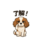 キャバリア きなこの日常（個別スタンプ：36）