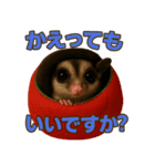 田中さんちのモモンガ（個別スタンプ：2）