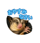 田中さんちのモモンガ（個別スタンプ：8）
