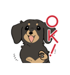 陽気なダックスフンド/ブラックタン（個別スタンプ：1）