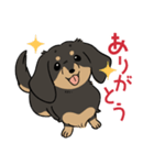 陽気なダックスフンド/ブラックタン（個別スタンプ：2）