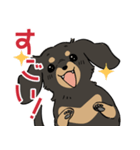 陽気なダックスフンド/ブラックタン（個別スタンプ：3）