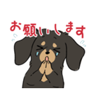 陽気なダックスフンド/ブラックタン（個別スタンプ：5）