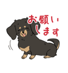 陽気なダックスフンド/ブラックタン（個別スタンプ：6）