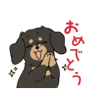 陽気なダックスフンド/ブラックタン（個別スタンプ：7）