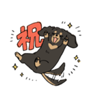 陽気なダックスフンド/ブラックタン（個別スタンプ：8）