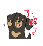 陽気なダックスフンド/ブラックタン（個別スタンプ：12）