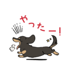 陽気なダックスフンド/ブラックタン（個別スタンプ：14）