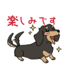 陽気なダックスフンド/ブラックタン（個別スタンプ：16）