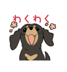 陽気なダックスフンド/ブラックタン（個別スタンプ：18）