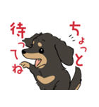 陽気なダックスフンド/ブラックタン（個別スタンプ：20）