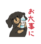 陽気なダックスフンド/ブラックタン（個別スタンプ：27）