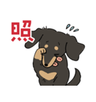 陽気なダックスフンド/ブラックタン（個別スタンプ：34）