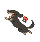陽気なダックスフンド/ブラックタン（個別スタンプ：36）