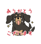 陽気なダックスフンド/ブラックタン（個別スタンプ：38）