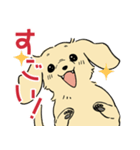 陽気なダックスフンド/イエロー（個別スタンプ：3）