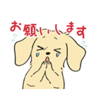 陽気なダックスフンド/イエロー（個別スタンプ：5）