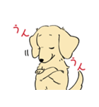 陽気なダックスフンド/イエロー（個別スタンプ：17）