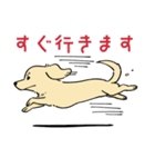 陽気なダックスフンド/イエロー（個別スタンプ：19）