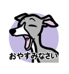 【ブルー2】1年中使えるイタグレのスタンプ（個別スタンプ：4）