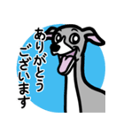 【ブルー2】1年中使えるイタグレのスタンプ（個別スタンプ：5）