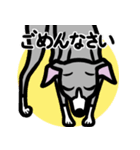 【ブルー2】1年中使えるイタグレのスタンプ（個別スタンプ：7）