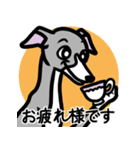 【ブルー2】1年中使えるイタグレのスタンプ（個別スタンプ：8）