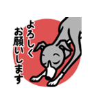 【ブルー2】1年中使えるイタグレのスタンプ（個別スタンプ：9）