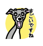 【ブルー2】1年中使えるイタグレのスタンプ（個別スタンプ：14）