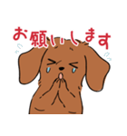 陽気なダックスフンド/レッド（個別スタンプ：5）