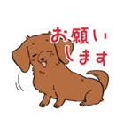 陽気なダックスフンド/レッド（個別スタンプ：6）